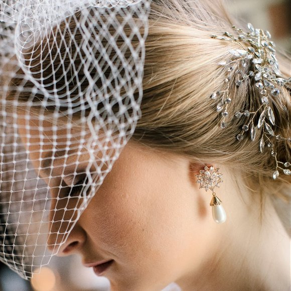 Bird Cage Bridal Veil